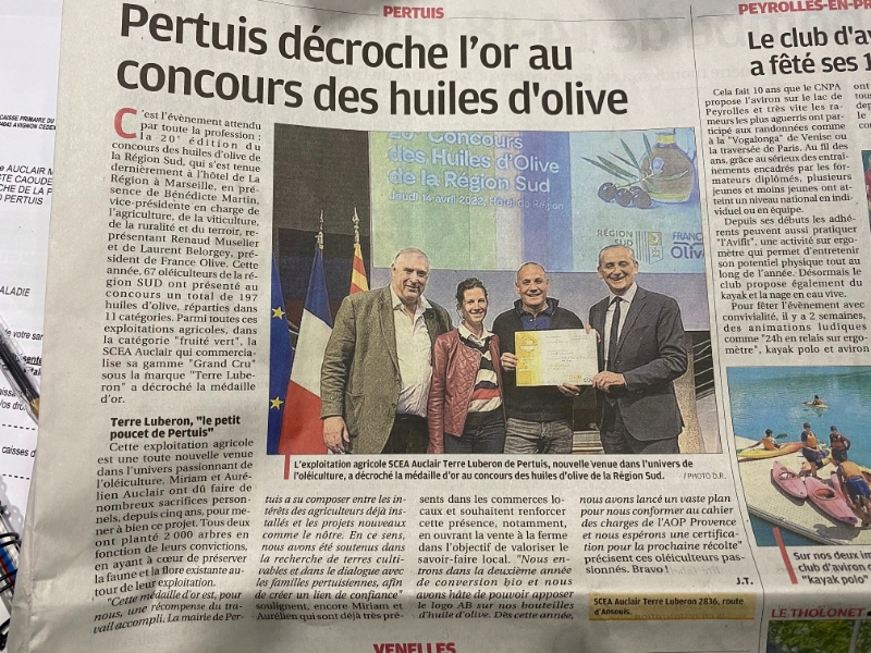 Pertuis décroche l’or au concours des huiles d’olive